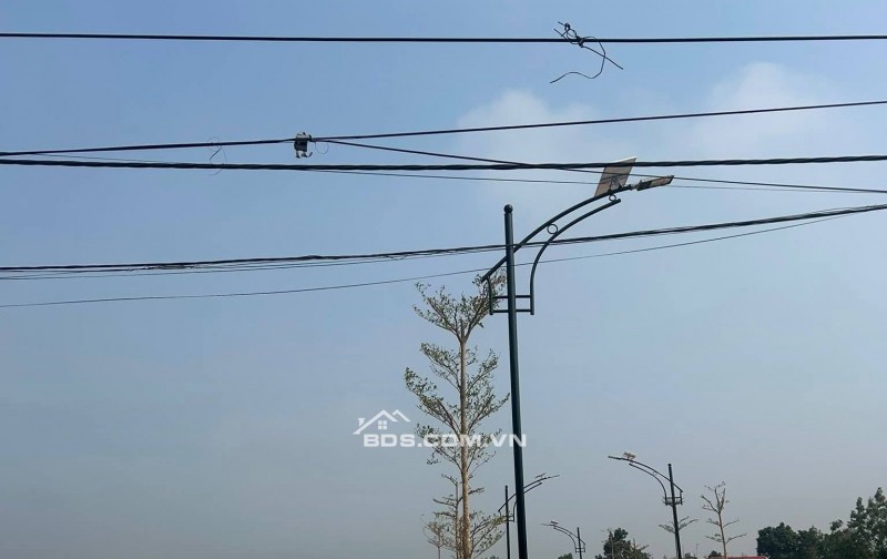 Cắt lỗ gấp: Chính chủ cần bán gấp lô đường Hàng Cau đồng trạng giá ngã cây liên hệ 0931xx