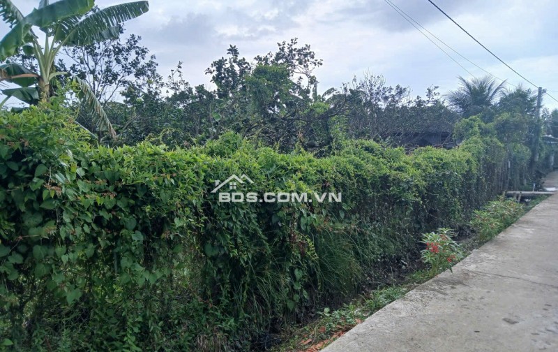 Bán 2 Công đất đường Xe 16 chỗ gần.Lộ Xoài. Ranh Mỹ Tho-Song Bình Chợ Gạo.