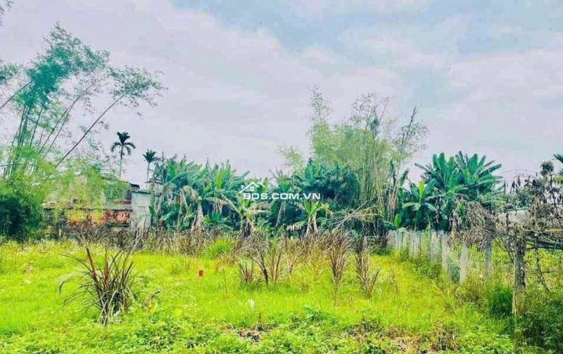 BÁN GẤP LÔ ĐẤT NHÀ VƯỜN ĐIỆN BÀN 190M² GIÁ CHỈ 7XX TRIỆU