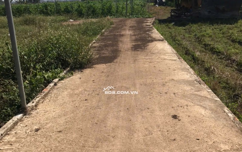  CHỈ 579 TRIỆU – 100M² THỔ CƯ TẠI GIA TÂN 2 – GẦN ĐỨC MẸ NÚI CÚI