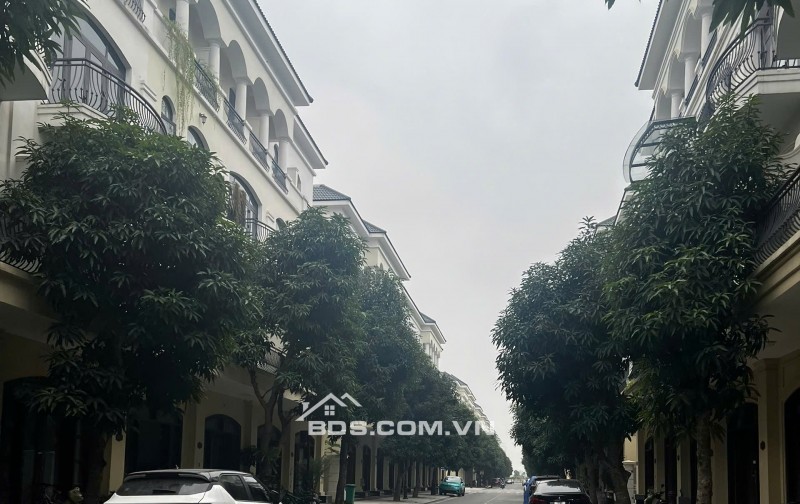 Bán liền kề 62m2, 63m2, 64m2 Vinhomes Ocean Park 2 Hưng Yên