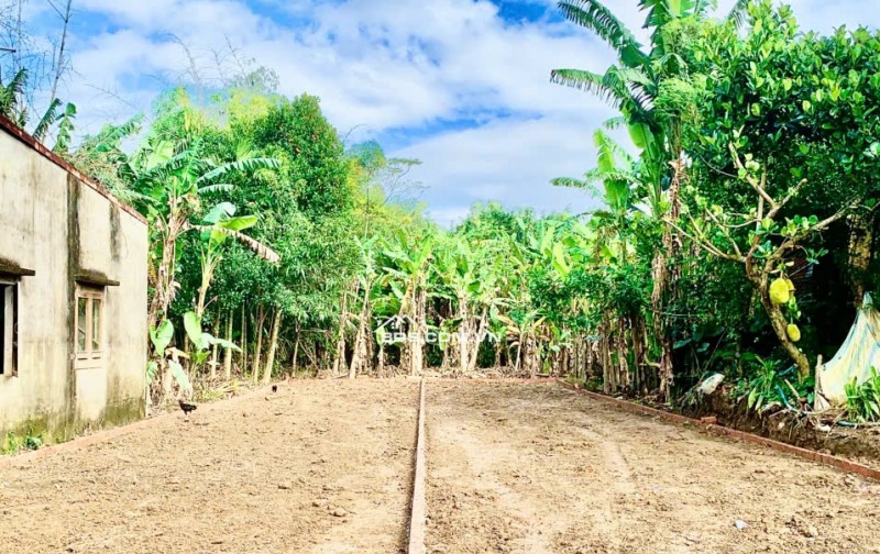  CHỈ VỚI 6XX – SỞ HỮU NGAY 150M² TRUNG TÂM ĐIỆN BÀN TÂY 