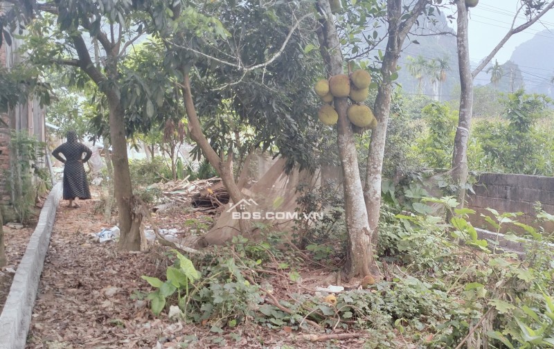 Chính chủ Bán đất tại Đường QL21A, Cao Dương, Lương Sơn, Hòa Bình, giá 850 triệu, 212.4 m2!