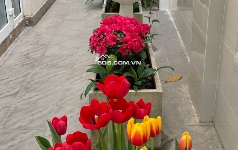 Biệt Thự 5 Tầng• Khu City Land Q7• 220m2(10x22)• Có Hầm • Thang Máy• 6PN• 8WC• Khu Compound