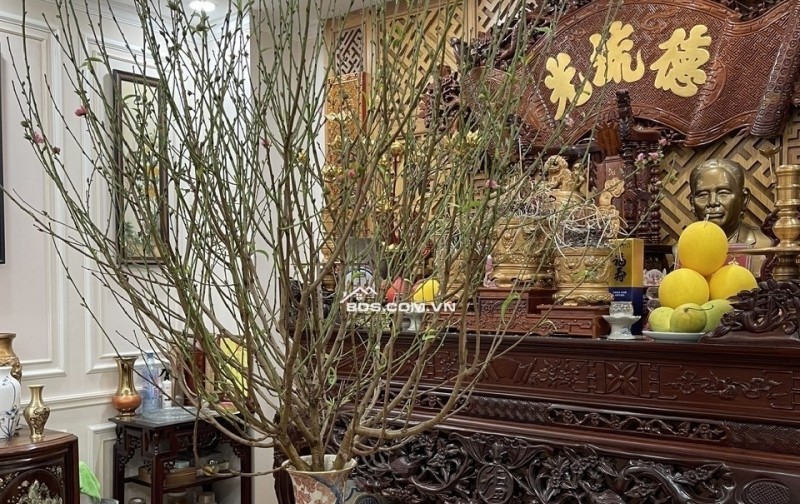 Biệt Thự 5 Tầng• Khu City Land Q7• 220m2(10x22)• Có Hầm • Thang Máy• 6PN• 8WC• Khu Compound