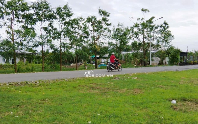 Bán đất nền đã lên thổ cư