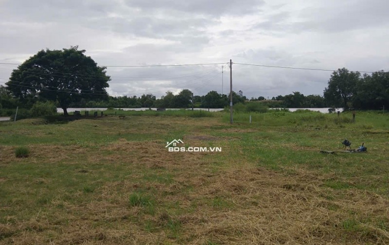 Bán đất nền đã lên thổ cư