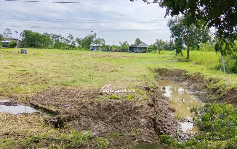 Bán đất nền đã lên thổ cư