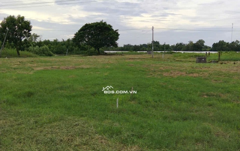 Bán đất nền đã lên thổ cư