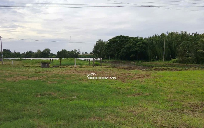 Bán đất nền đã lên thổ cư