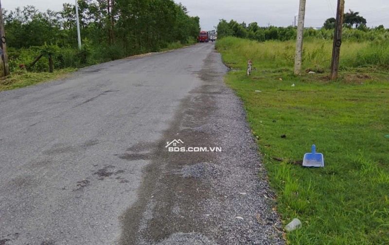 Bán đất nền đã lên thổ cư