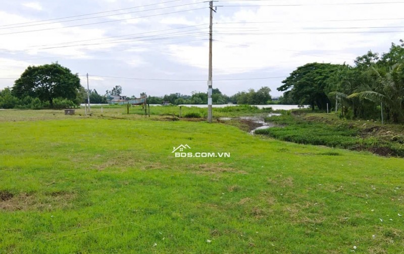 Bán đất nền đã lên thổ cư