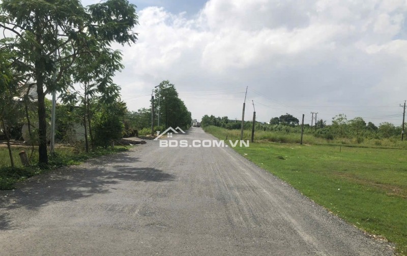 Bán đất nền đã lên thổ cư