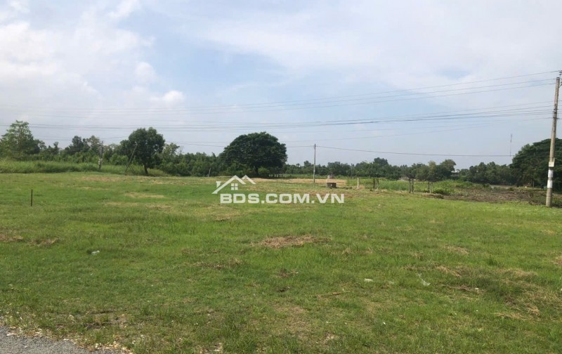 Bán đất nền đã lên thổ cư