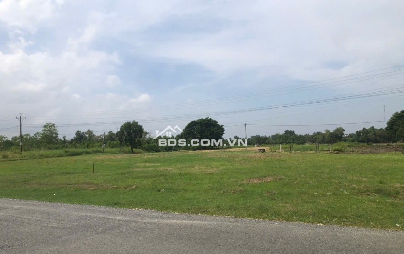 Bán đất nền đã lên thổ cư