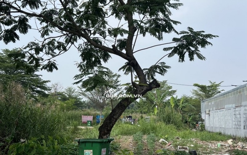 Bán Lô Đất Hẻm 512 Đường 16 Mét Nguyễn Văn Tạo - Đối Diện Trường Lái Xe Thành Công - 5x19M - Xây Dựng Tự Do - Chỉ 4.4tỷ