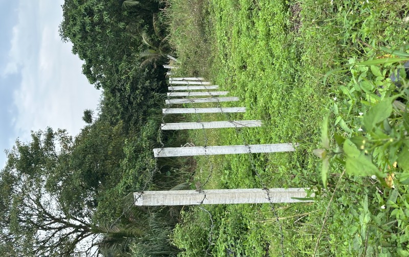 LÔ ĐẤT CUỐI CÙNG Ở SÔNG NHẠN - GIÁ ĐÃ CHẠM ĐÁY