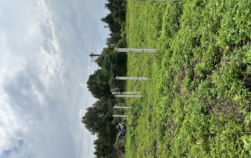 LÔ ĐẤT CUỐI CÙNG Ở SÔNG NHẠN - GIÁ ĐÃ CHẠM ĐÁY