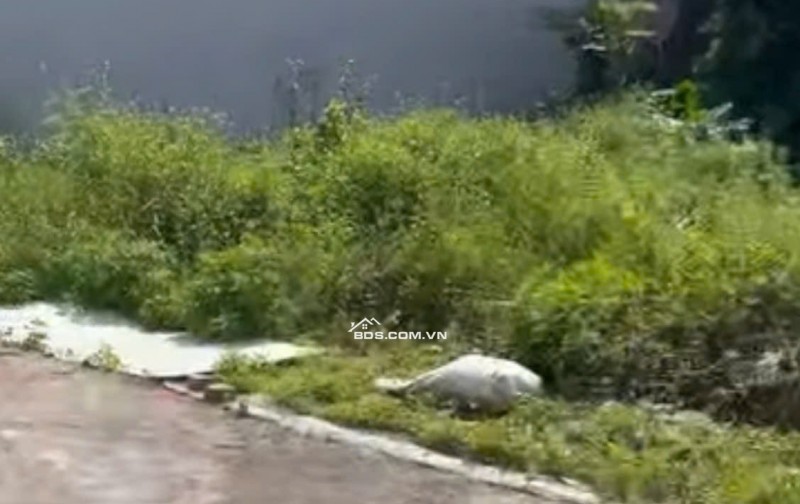 Bán đất 61m2 Kiến Phong Đồng Thái An Dương Hải Phòng