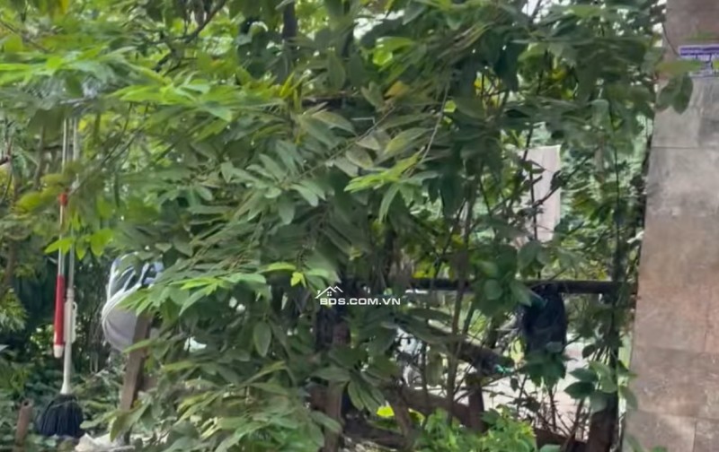 Bán đất 100m2 TDP Cái Tắt An Đồng An Dương Hải Phòng