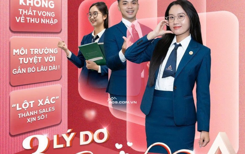 Mai Việt Land cần tuyển nhân viên / thực tập sinh tư vấn dự án, có lương cứng không áp KPI