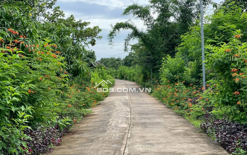  CHÍNH CHỦ KẸT BÁN LỖ LÔ ĐẤT VIEW ĐỒI NÚI – THUNG LŨNG SIÊU ĐẸP