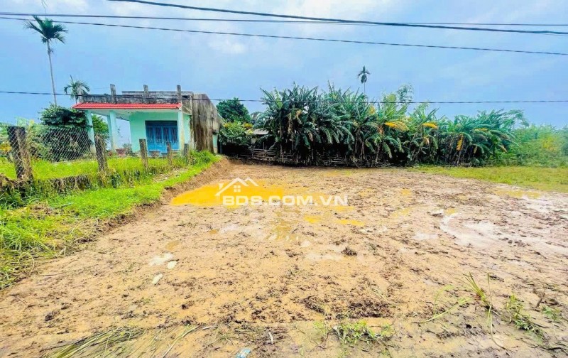  3 LÔ LIỀN KỀ – CẨM VÂN TÂY, ĐIỆN HỒNG – GIÁ CHỈ 6xx/LÔ! 