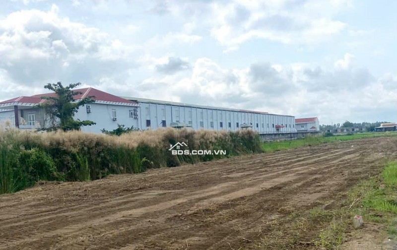 Đất nền Cần Giuộc, giá chỉ 7,5 triệu/m2 gần ngã tư Chợ Trạm