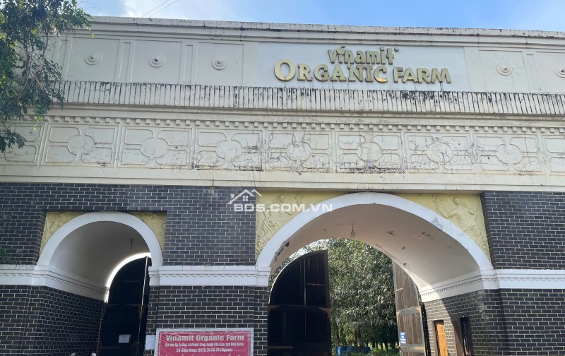 CHỦ GỬI LÔ ĐẤT THỔ CƯ MẶT TIỀN ĐƯỜNG LIÊN HUYỆN DH519 TPHCM MƠI