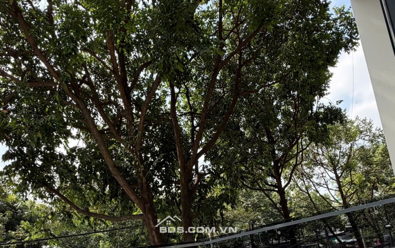 Nhà mới đẹp đường số 44 khu Bình Phú Quận 6 giá chỉ 13 tỷ 400