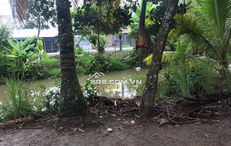 MẶT TIỀN kênh đường Tỉnh 879B. Lô đất CLN gần 300m2. Gần Trường Lê Văn Nghề, Mỹ Phong.