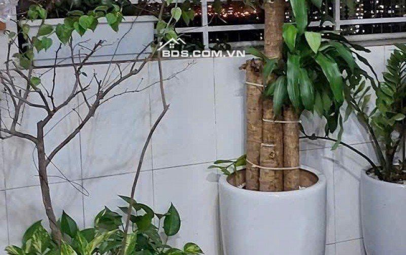 Căn 3p, 110m2 C/c Harmona,Trương Công Định, TB giá 15.5tr/th, Nội thất.