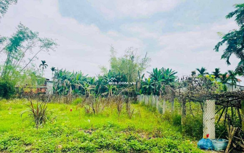  CHỈ 7XX – SỞ HỮU NGAY LÔ ĐẸP GẦN 190M² SÁT CHỢ LẠC THÀNH