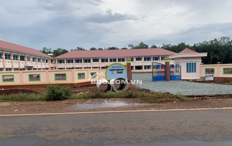 BÁN GẤP 5 LÔ 25X50=1250M2 SHR TC, ĐƯỜNG 42M, DÂN CƯ ĐÔNG ĐỐI DIỆN KCN GIÁ 110TR