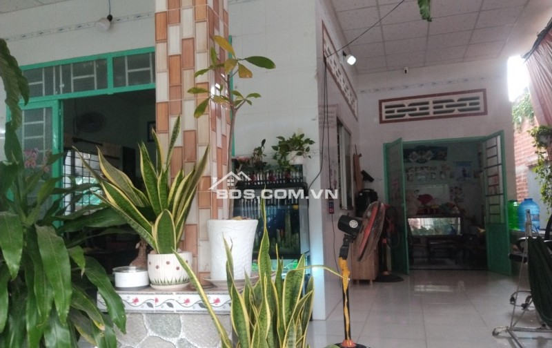 Nhà BÁN tạp hóa gần cầu An Hóa, Long Hòa, Bình Đại, Bến Tre. Rộng 174m2 full thổ cư.