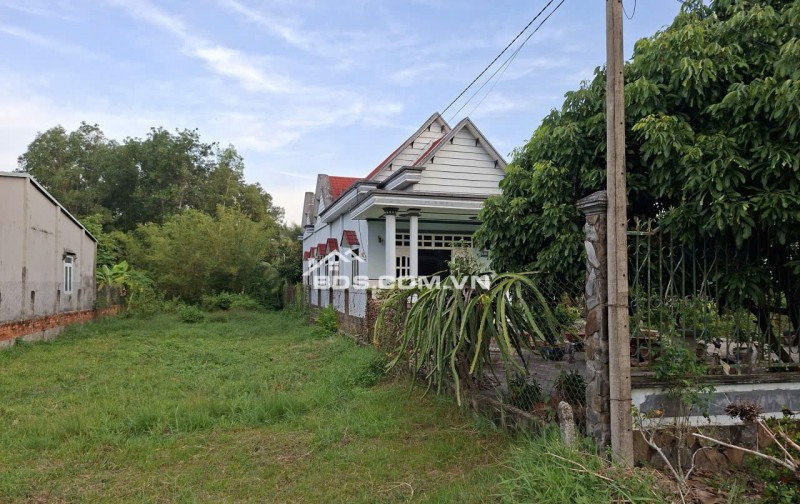 Cần thanh lý gấp đất tại mặt tiền đường Phú Thuận-  xã An Nhơn Tây- TP Hồ Chí Minh