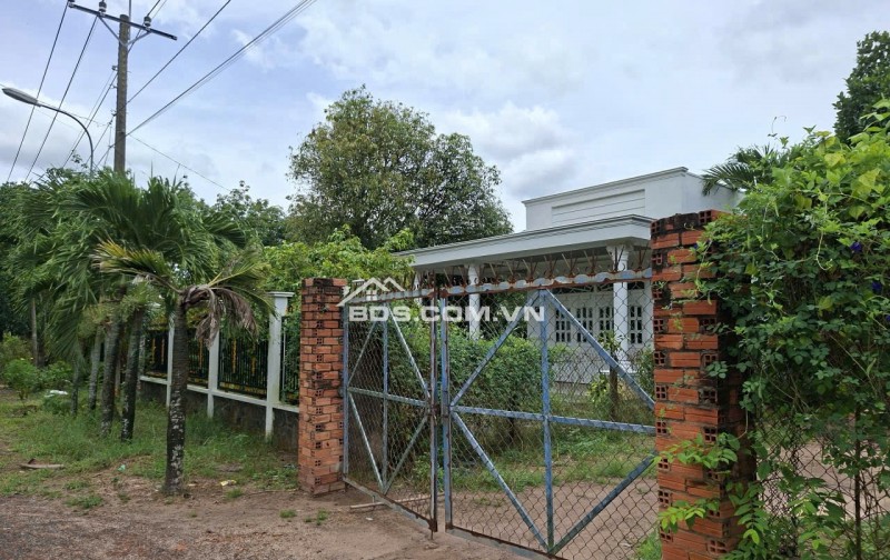 Cần sang nhượng gấp đất hẻm ô tô tải quay đầu đường Phú Thuận, Xã An Ninh Tây- TP.HCM