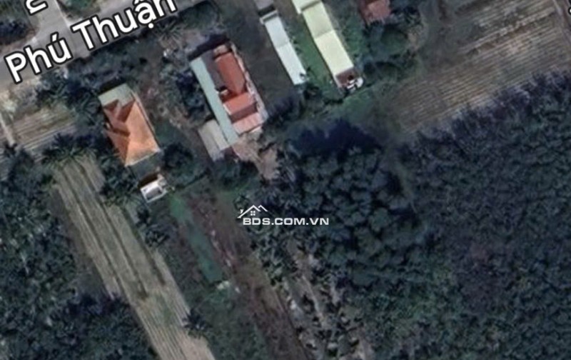 Cần thanh lý gấp đất tại mặt tiền đường Phú Thuận-  xã An Nhơn Tây- TP Hồ Chí Minh