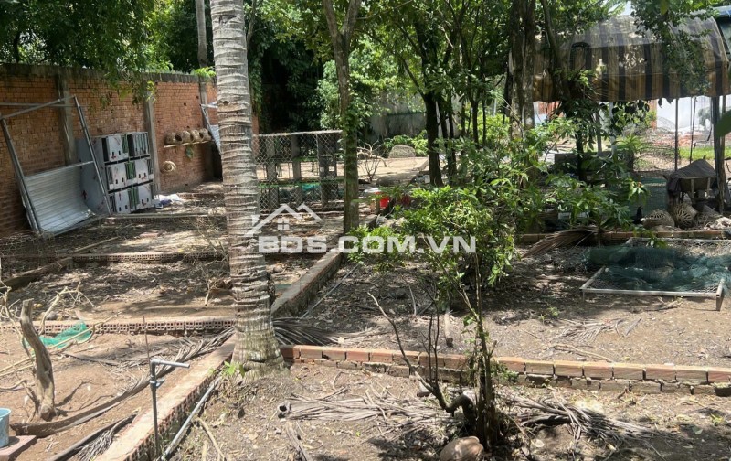 Cần Bán hoặc Cho thuê kho xưởng 2100m2 tại TP. Sa Đéc - DT 2100m2 - Giá chỉ 20tr/tháng (thương lượng)