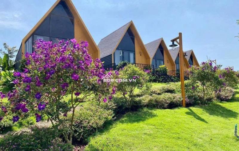 Mở bán Làng Omm 2 nhận ngay xe vin và triết khấu tốt.