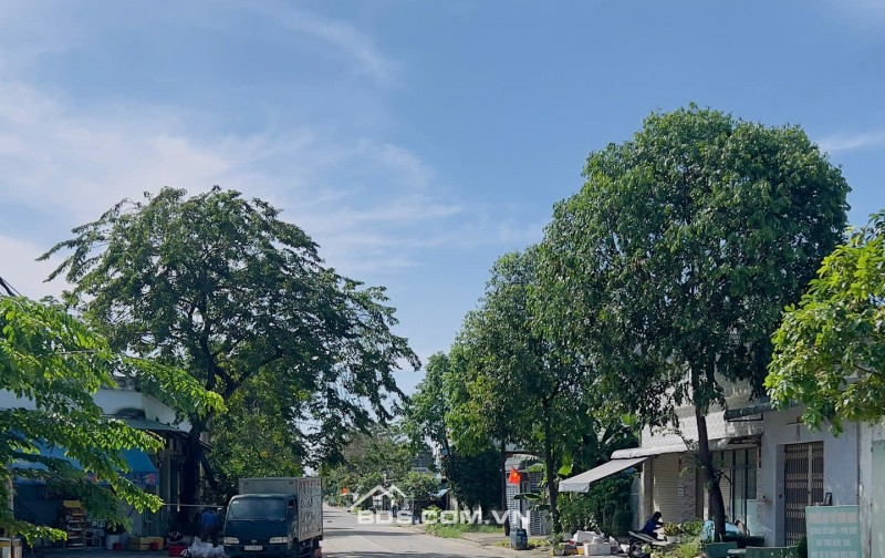 Cần Bán Nhanh 300m , Đường DL16 Thới Hòa Bến Cát Bình Dương , Full Thổ Cư , Sổ Hồng Riêng