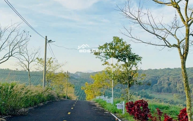 Làng  Omm 2 view đẹp mê mệt, Khách booking nhận  ngay 2 chỉ vàng.