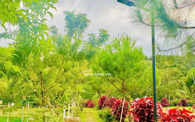 Làng  Omm 2 view đẹp mê mệt, Khách booking nhận  ngay 2 chỉ vàng.