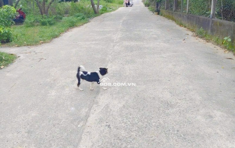 1,400 TRIỆU/100m2 ĐƯỜNG 6M