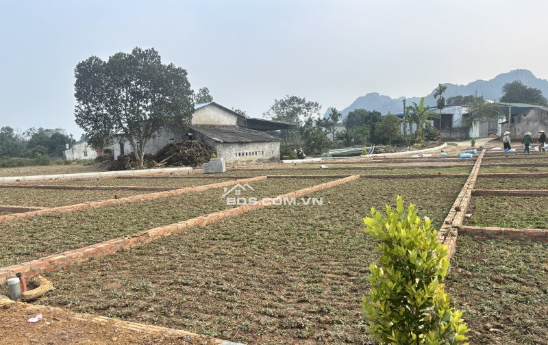 3XX TRIỆU BẠN MUỐN TIỀN ĐẺ RA TIỀN THÌ KHÔNG NÊN BỎ QUA BÀI VIẾT NÀY - SỞ HỮU SỔ HỒNG BĐS