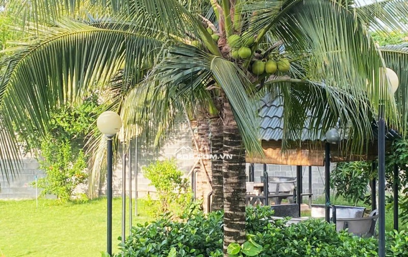 Nghỉ dưỡng chính chủ 1570m2, thổ cư 400m2, xã Hồ Tràm. Lh:0913933070