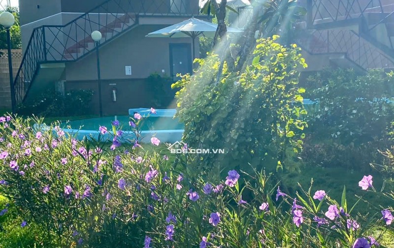 Nghỉ dưỡng chính chủ 1570m2, thổ cư 400m2, xã Hồ Tràm. Lh:0913933070