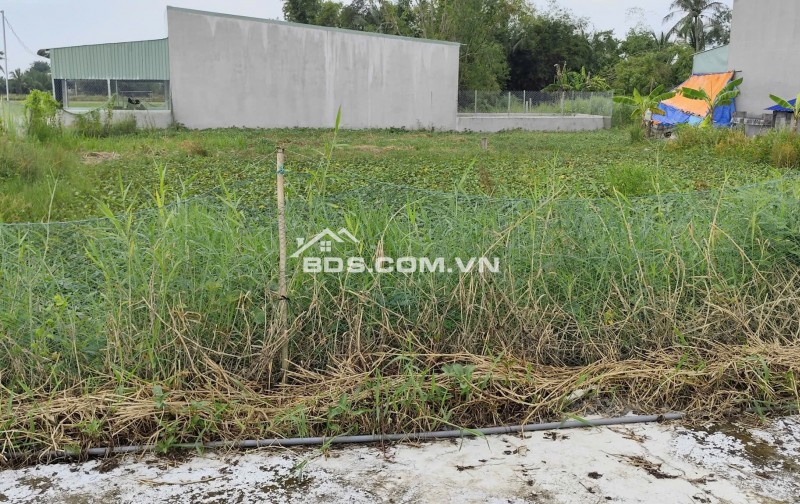 Cần tiền bán gấp lô đất 2 mặt tiền tại xã Phước Vân, Cần Đước, Long An – Giá tốt cho nhà đầu tư