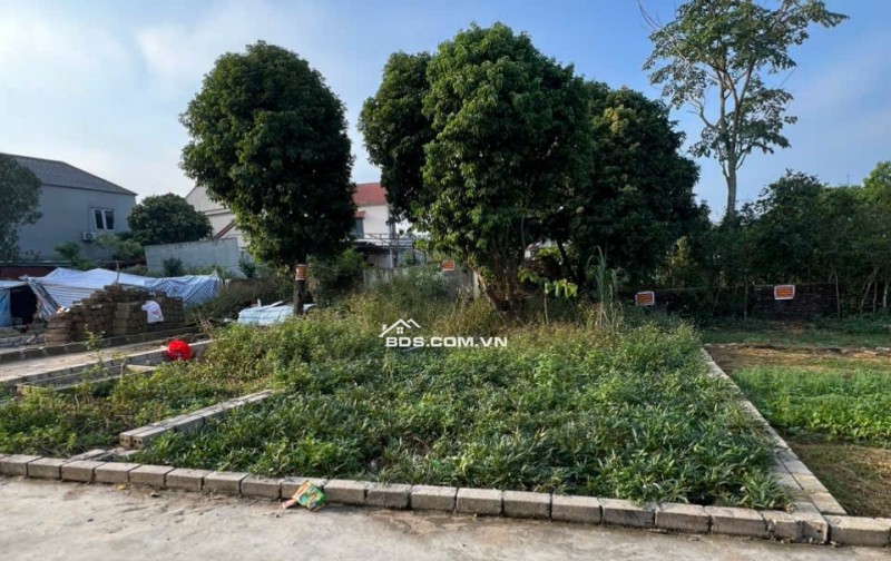 CƠ HỘI VÀNG: CHỦ CẦN TIỀN BÁN GẤP LÔ ĐẤT ĐẸP 103.8m² TRỤC CHÍNH TÂN XÃ - GIÁ CHỈ 3x TRIỆU/m²!