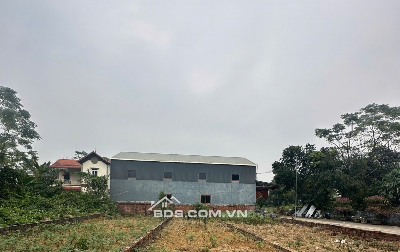 CƠ HỘI VÀNG: CHỦ CẦN TIỀN BÁN GẤP LÔ ĐẤT ĐẸP 103.8m² TRỤC CHÍNH TÂN XÃ - GIÁ CHỈ 3x TRIỆU/m²!